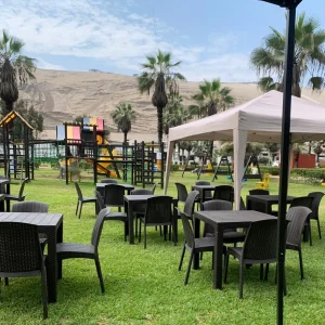 Alquiler Sillas Rey modelo Ratán Premiun